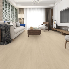 WhatsApp Image 2025-09-03 at 15.14.46 (1)