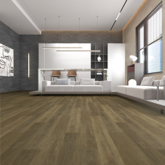 WhatsApp Image 2025-09-03 at 15.14.46